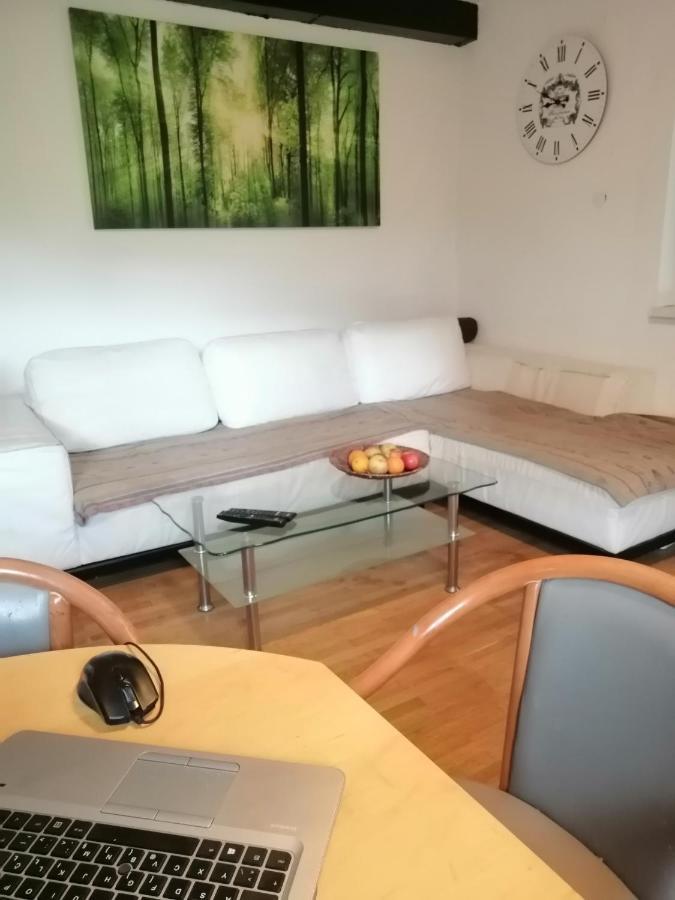 Apartma Zeus Jesenice Zimmer foto